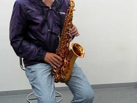 dave guardala アルトサックス アルトサックス デイブ・ガーデラ(DAVE GUARDALA) DG-400AL