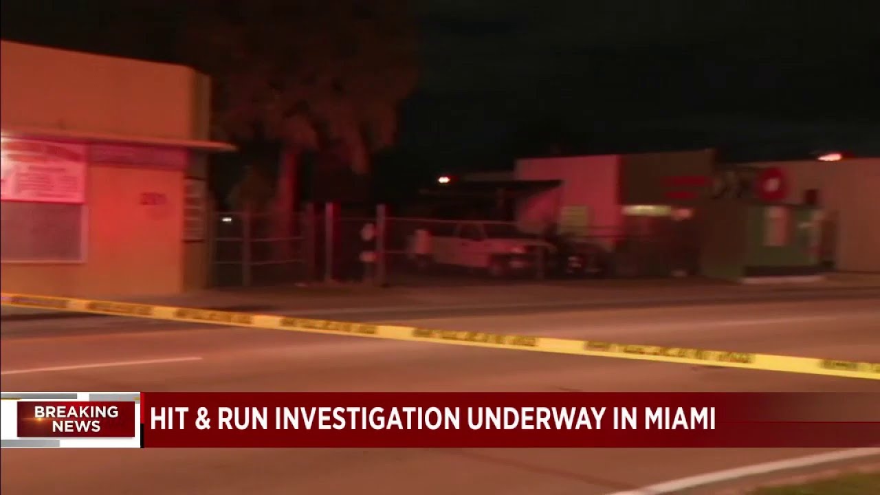 Early morning hit and run leaves woman dead - YouTube
