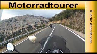 Motorrad 2019 Fast Unfall mit dem Geisbock - Motorrad Horror Moment auf Sardinien-