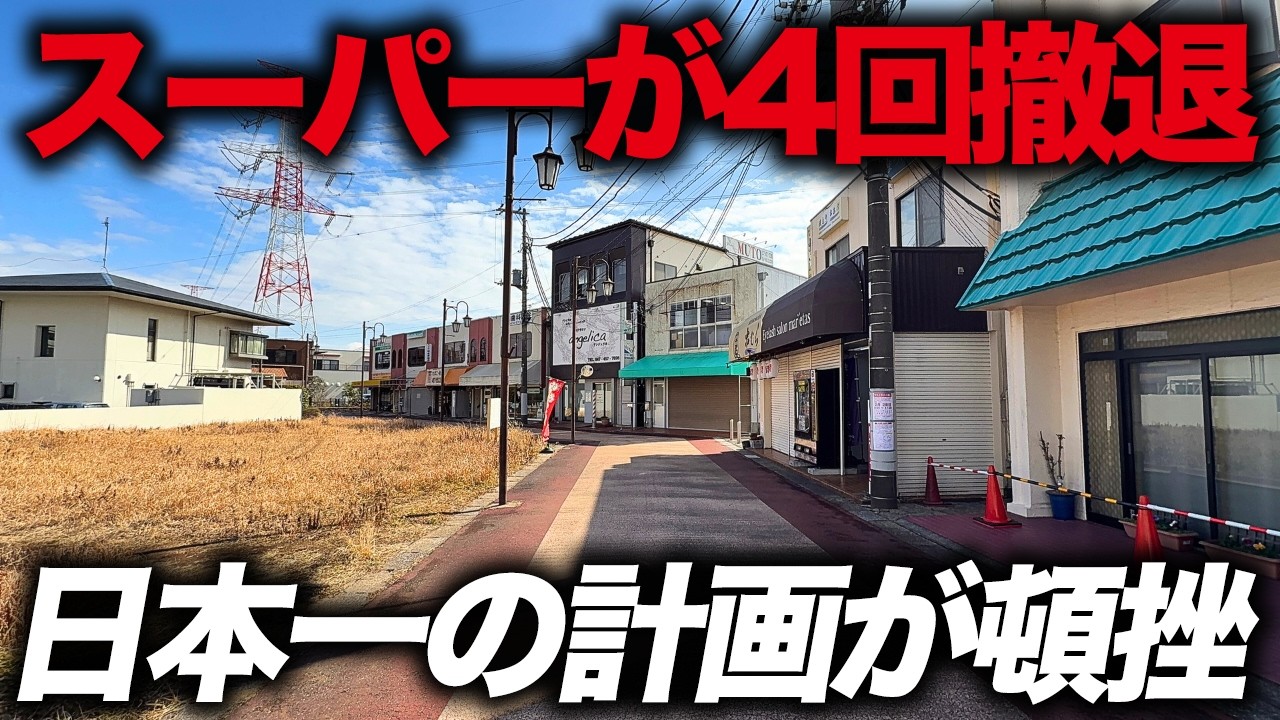 【65万人都市の闇】ほぼ誰も歩いてない…日本一の人口になる予定だった街「小室駅」