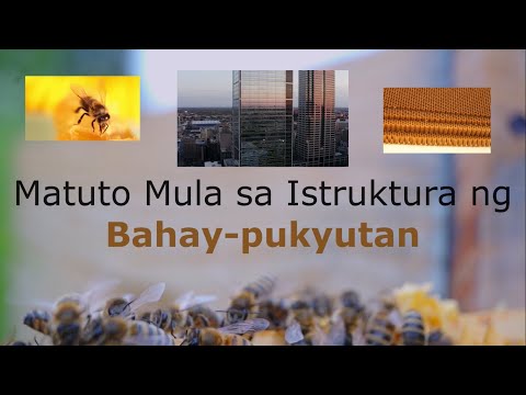 Video: Ano ang itinuturing na pinsala sa istruktura sa isang bahay?