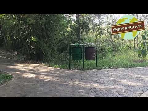 Video NYANDUNGU ECO-PARK EPS 1 - youtube