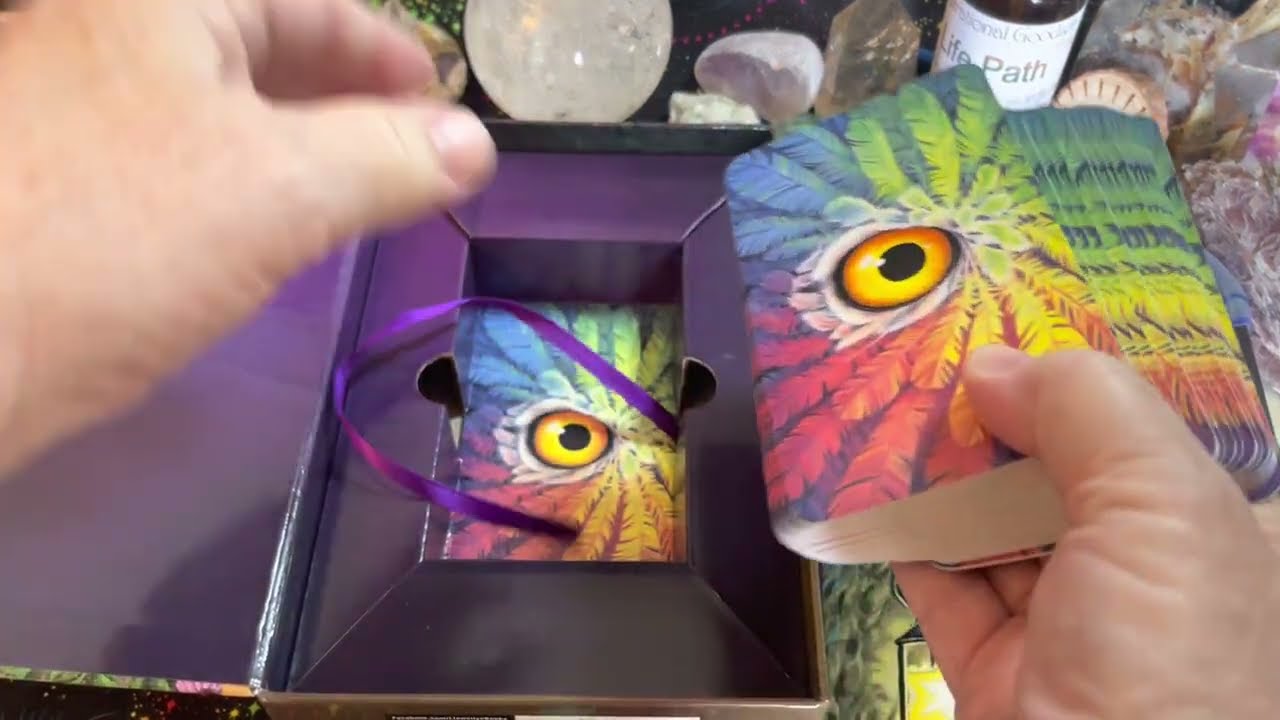 Tarot of the Owls Cards by Pamela Chen and Elisabeth Alba Deck Flip Through 