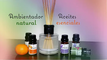 ¿Cómo perfumar una habitación con aceites esenciales?