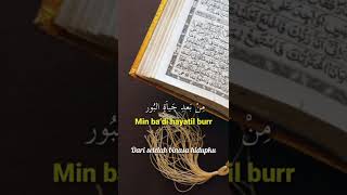 Download Lagu duqtu walalan atakhola #shorts MP3