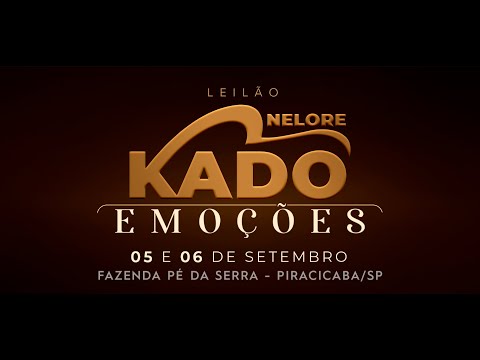 LOTE 03   CARMELIA FIV KADO   KADO 2181 zap
