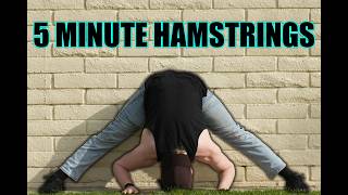 Hamstrings - Five Minute Routine (Follow Along)