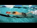 Front Crawl Kick (Basics)