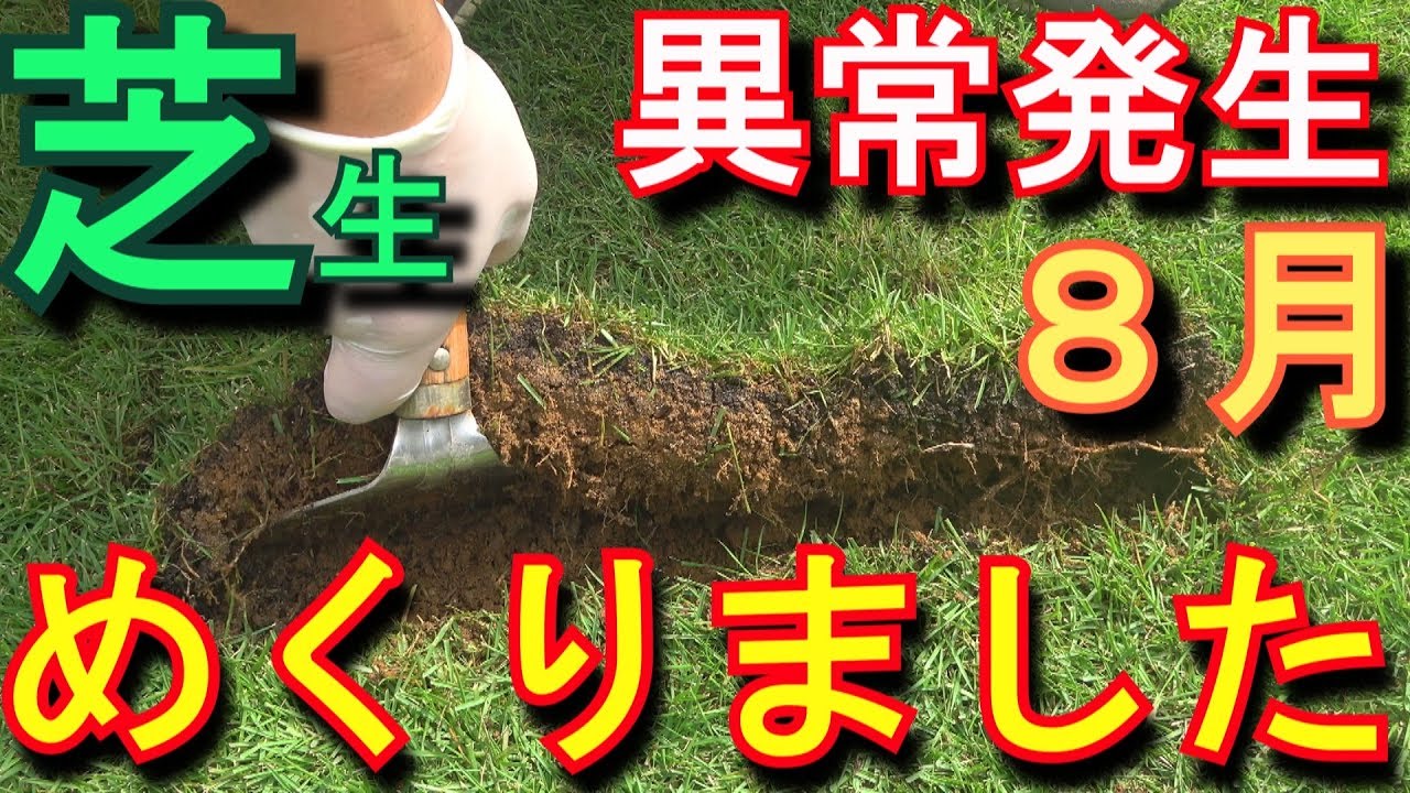 猫まわれ右びっくりスプレー芝生のネコ糞尿対策 フマキラー Youtube 猫まわれ右びっくりスプレー芝生のネコ糞尿対策 フマキラー Youtube