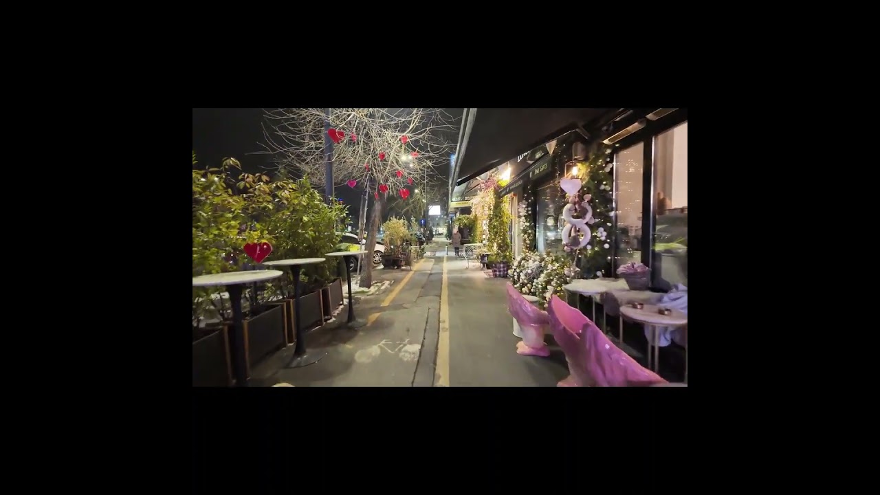 Elegant Dorobanti Winter Night Stroll 4K