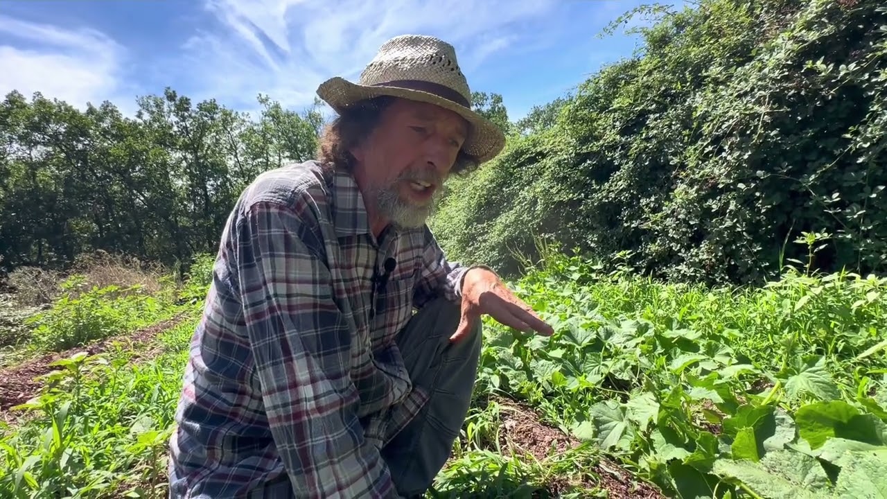 Pascal Poot : l’agriculteur qui résiste, mais à quel prix ? 