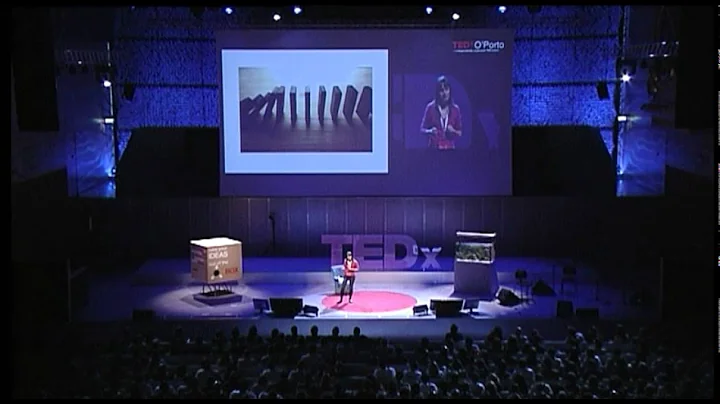 The right to understand: Sandra Fisher-Martins at ...