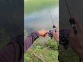 Lemparan pertama langsung dapat target #fishing #shimano