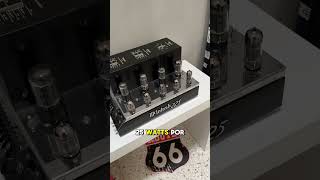 McIntosh vintage de los 60´s 🤩#hifiaudio #mcintosh #amplificadores #audiosystem #fortuneacoustics