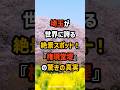 【海外の反応】埼玉が世界に誇る絶景スポット！「権現堂堤」の驚きの真実