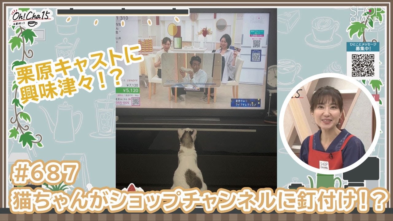 Oh！Cha 15（お茶行こう） 9月18日(木曜日)【ショップチャンネル