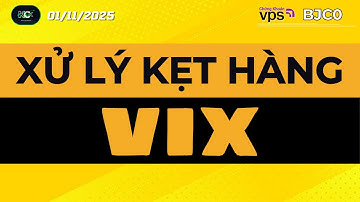 Xử lý kẹt hàng cổ phiếu VIX | Chấp nhận cắt lỗ, đón chờ long mạch mới?
