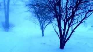 Whiteout State College February 18th Snow Squall
