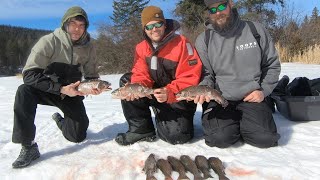 Region 3 Brook Trout | Ice Fishing BC