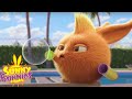 SUNNY BUNNIES - MAGIC BUBBLES | Season 7 | Cartoons for Kids