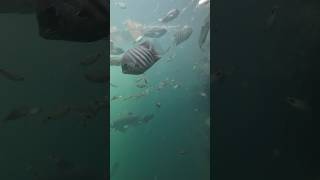 கிணற்றின் ஆழம் வரை பதிவு #depth #record #dji