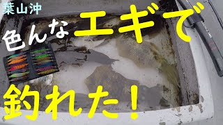 【検証】釣れたことないエギで釣れるのか！？～エギメーカー応援企画！とにかく動いてイカを釣る！～