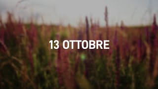13 Ottobre 2025 | Meditazione Parole di Vita