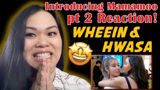 INTRODUCING MAMAMOO! PART 2: WHEEIN AND HWASA REACTION!!! I AM IN LOVE WITH THESE WOMEN ❤❤❤❤