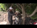 Người Việt với nghề làm vườn ở Hawaii