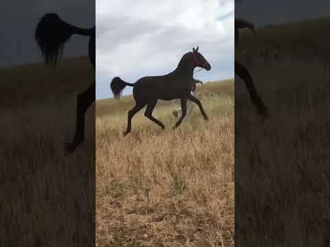 شحال من واحد علمنااه يقرى ولا بااغي يشرح لييناا