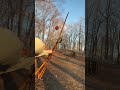 Evening shooting