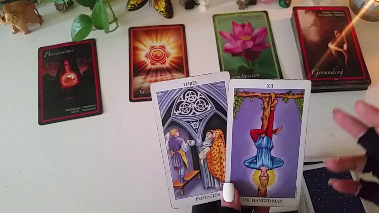 Divine Connections Collective Read. Rebuilding The Low Chakras.(All Signs)