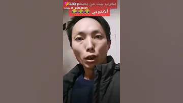 بدنا أندومي واحد ونص لهذا الشب 
