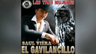 Las 3 Mujeres - Saul Viera