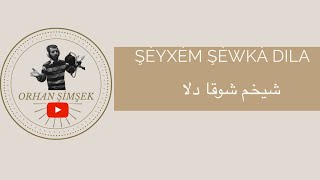 Orhan Şimşek | ŞÈYXÈM ŞEWKA DILÂ