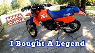 Honda XR600 R  I Just Bought a LEGEND