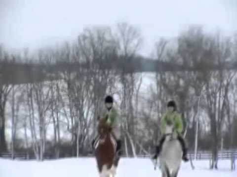 Trailride in the Snow