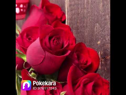 おんなの暦　cover