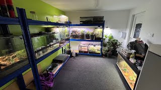 My New Animal Room Is FINISHED!