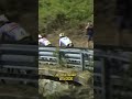 "Ni si quiera sé dónde estoy": Egan Bernal olvidó en dónde estaba corriendo 😄🇮🇹 - DITU