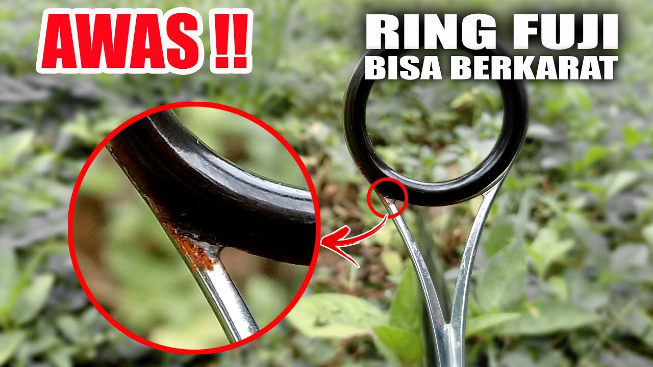 Awas Rind AWAS !! Ring Guide Fuji Bisa Berkarat dan Cara Mengatasinya - YouTube