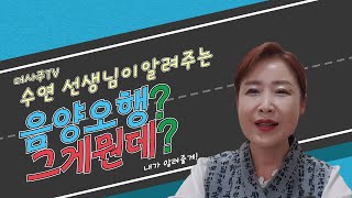[#더사주 #수연] 음양오행에 대한 모든것을 알려줄게!