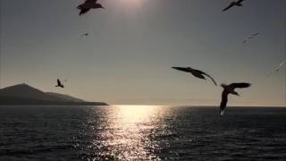 Nâmütenâhi Bir Tutku