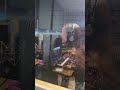 Музыкальное видео для детей 2025