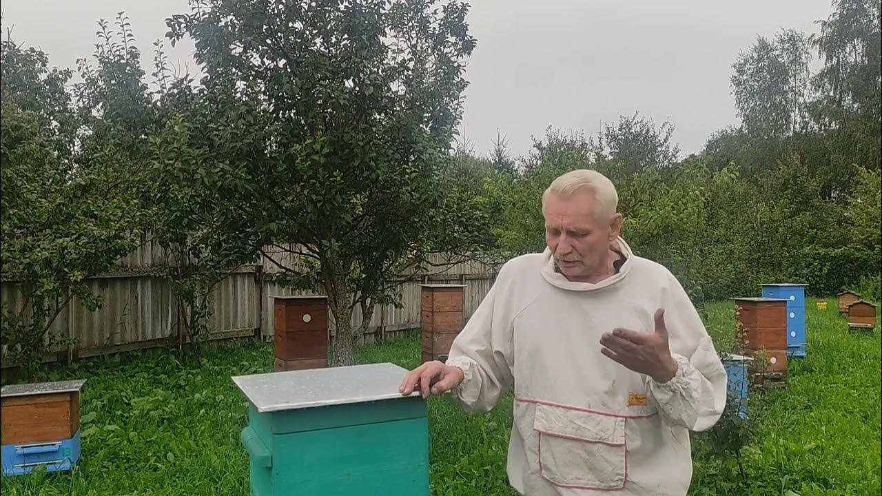 Пчеловоды братья марченко видео. Пасека на урале. Пчеловоды братья марченко видео. Пасека на урале. Братья марченко пчеловоды.