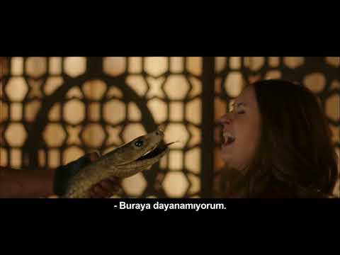 Jumanji: Vahşi Orman / Jumanji: Welcome to the Jungle 29 Aralık'ta Sinemalarda