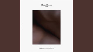Watch Blaue Blume Tranquil Curtains video