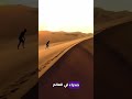 ما هي أكبر صحراء في العالم معلومات تهمك Shorts ما هي أكبر صحراء في العالم معلومات تهمك Shorts