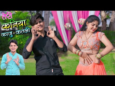 तेरी कणिया काजू कतली सी | Teri Kaniya Kaju Katli Si | Lokesh Kumar Dj Rasiya