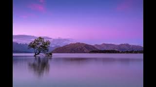 Jeremy Zucker & Chelsea Cutler - you were good to me(1 hour)